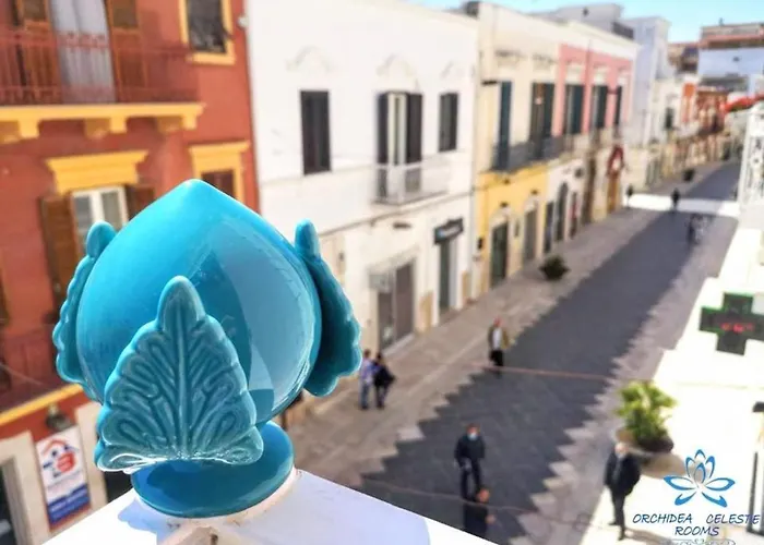B&B Orchidea Celeste Manfredonia